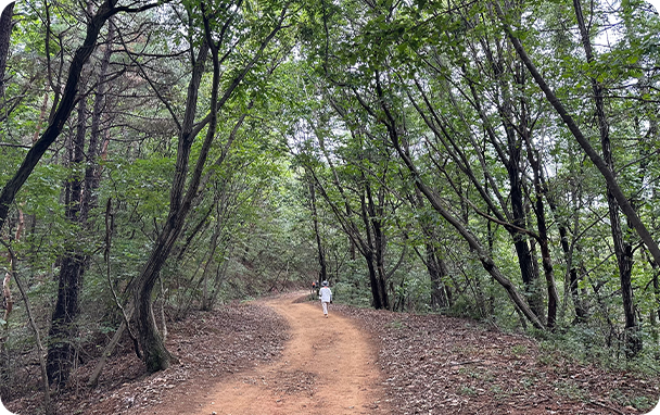 산중옛길